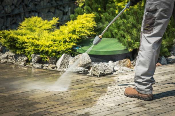 Animal Enclosure Cleaning in Baywood Park, CA