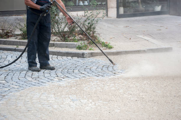 Best Pre-Holiday Cleaning  in Baywood Park, CA